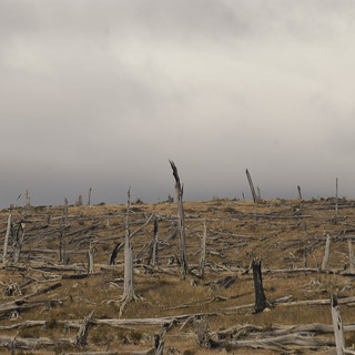 Tierra Del Fuego