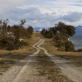 Tierra del Fuego - Where a dog chased me for few minutes