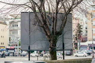 Billboard Tree